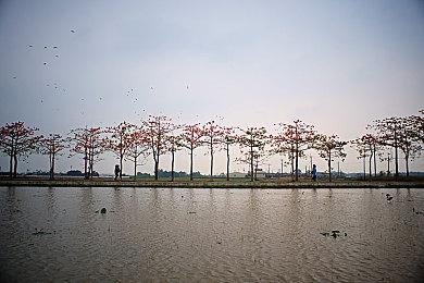 《英雄联盟》新英雄“贝蕾亚”公布 吸血鬼萝莉